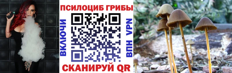 Галлюциногенные грибы Cubensis  MEGA вход  Светогорск  купить наркотик 